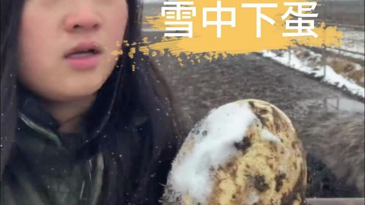 I looked around with my heart in bewilderment...