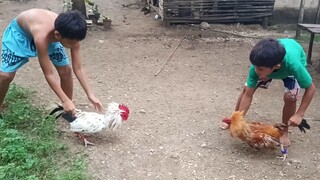 Malatuba Sweater VS Leiper Grey x White Kelso Spar