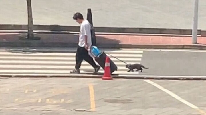 A guy brings his little cat home during the break. The cat thinks: “Hey, human! Look how hard I’m wo