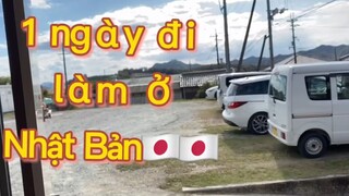 Một ngày đi làm ở Nhật Bản - Cuộc sống ở Nhật