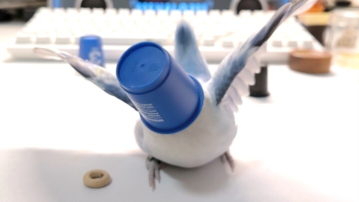 อัตราการดรอปสินค้าไม่สูงพอ ราชมังกรเดือดตะคอกผู้พัฒนาแล้วเลิกเล่นเกม 🐦: 🫵🤬👎🤬🖕🤬