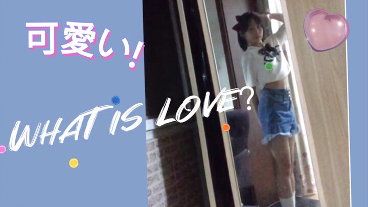 初中生Twice翻跳《What is love》啥是爱？？？