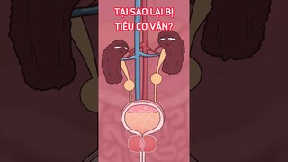 Tại sao lại bị tiêu cơ vân? #shorts  #trithucplus #trithuc