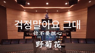 ฟังเพลง "Don't Worry" เวอร์ชั่น Wild Chrysanthemum จากอัลบั้ม Reply 1988 ในสตูดิโอสุดหรู [ความละเอีย