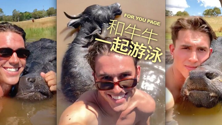 Our farmer Liam absolutely loves swimming with the animals!