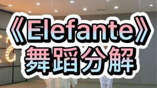 《elefante》舞蹈分解