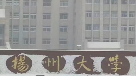 How can someone be this insanely smart?