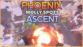 PHOENIX ASCENT MOLLY SPOTS YOU MUST KNOW