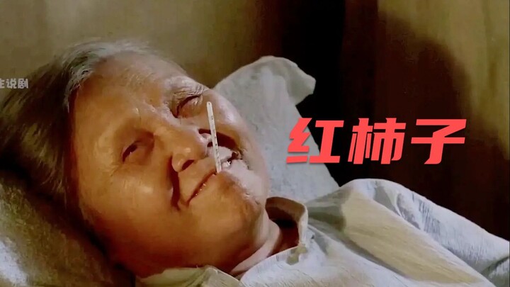 乡愁是一湾浅浅的海峡，台湾影视里最后一缕乡愁！《红柿子》