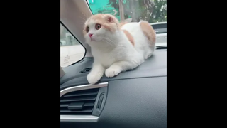 สภาพพพพพ 😂