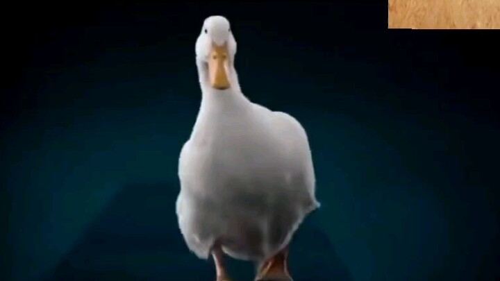 This Huawei ad is too sexy, why not just make a movie?