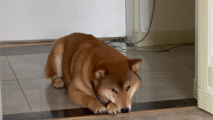 ลูกชายตัวโตของแม่ (ดูสิ ฉันมีเรื่องน่ะ)