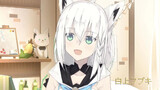 [Anime]MAD·AMV: Shirakami Fubuki, Kucing yang Menggelengkan Kepala