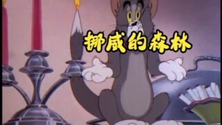 【猫和老鼠】挪威的猫