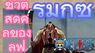 [วันพีซ] รีมิกซ์ | ชีวิตสุดคูลของลูฟี่