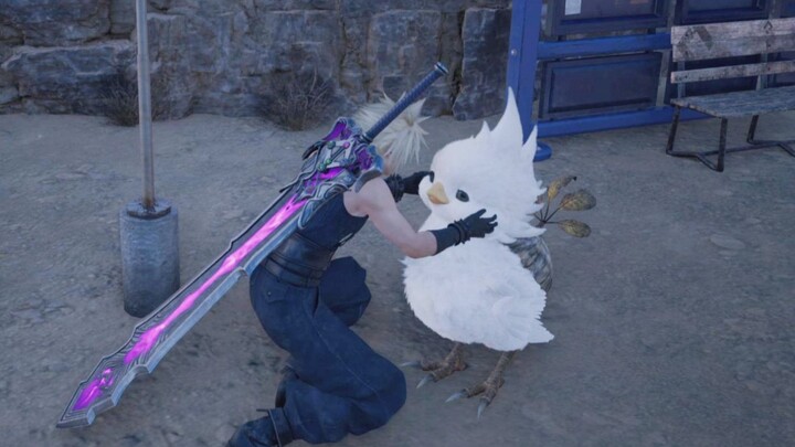Who could resist petting the baby chocobo!