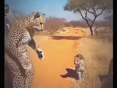 The animal world has finally gotten its own horror movie!