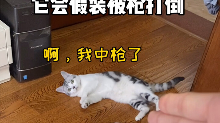 居然有人怀疑桑葚的智商？看完帮我看看孩子上哪个大学！