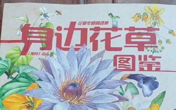 Kebingungan seputar tanaman dan bunga dalam kehidupan sehari-hari, semuanya dijelaskan dengan gambla