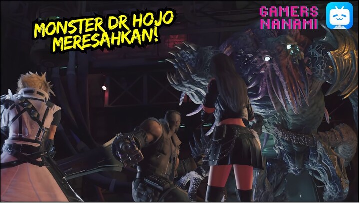 DR Hojo Menculik Aerith!