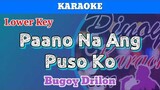 Paano Na Ang Puso Ko by Bugoy Drilon (Karaoke : Lower Key)