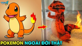 ✈️ Truy Tìm Nguồn Gốc 8 Pokemon Ngoài Đời Thực Phần 1 | Khám Phá Đó Đây