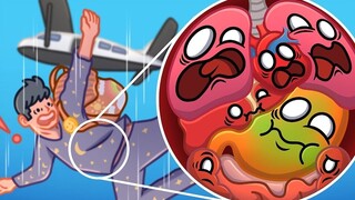 [Reprint/Chinese subtitles] How to survive a high altitude fall without a parachute (Human buddy#3)