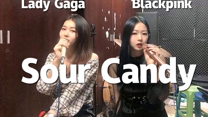 【Sour Candy】Live Cover at University: YG-Style Vocal Sister and Western-Style Vocal Little Sister