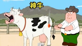 佛罗里达州不养闲牛，没点绝活都不好意思在此生活