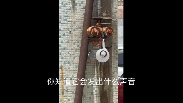 (Retro/Nostalgic) Real-Life Use Cases of the Dingdong Chicken Toy: Take You Back to That Summer