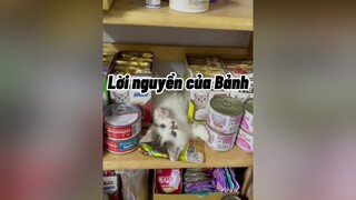 Coi tới hết clip nha mấy chế :))))