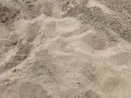 التصاميم التي تجمع بين الأبيض والأسود بالتأكيد ليست طبيعية أبدًا!!!