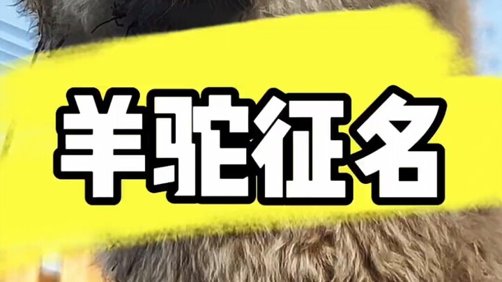 Everyone, help her come up with a name!