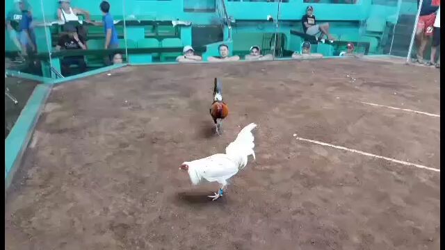 garry game farm
