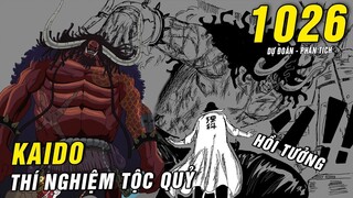 Thí nghiệm chủng tộc Quỷ Kaido, trận chiến Sanji Zoro vs King Queen