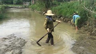 Chiều Chiều Rủ Nhau Ra Bãi Ao Bắt Chạch Đồng Về Nướng | Cô Linh Vlogs