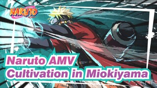Naruto AMV
Cultivation in Miokiyama