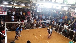 2nd fyt champion 🏆🏆 tibayan