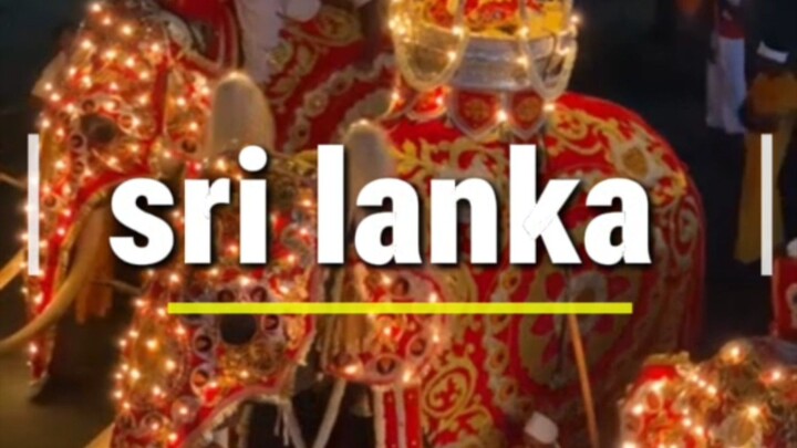 srilanka travel | d travelling