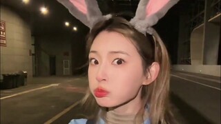 Zhong Chenyao Rabbit Police Officer