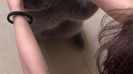 Do you ever get into scuffles with your cat too???