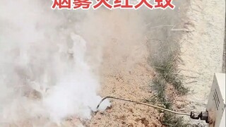 This method of eradicating red fire ants is truly ruthless!