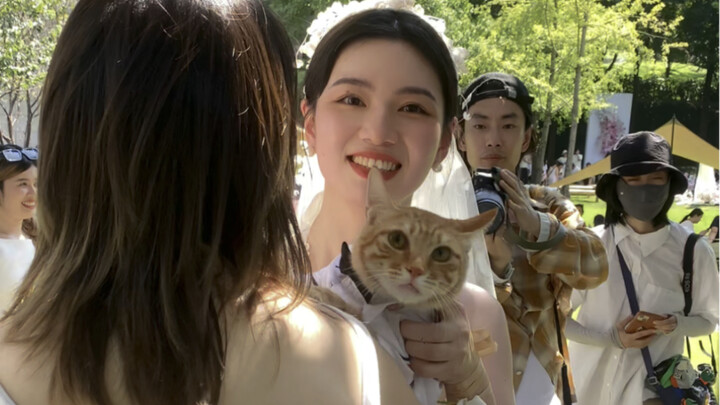 婚它是婚礼上的最佳男嘉宾mao