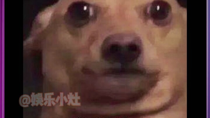 สอนหลบหลีก เอาจริงๆ ฉันเรียนไม่เป็นเลย!