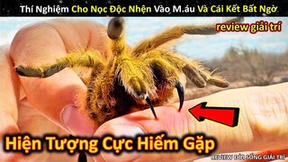 Những Hiện Tượng Khó Lý Giải Cực Đáng Sợ Của Động Vật Trên Cạn Dưới Nước || Review Giải Trí Đời Sống