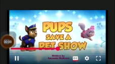 paw patrol Musim 11 Episode 3B Bahasa indonesia