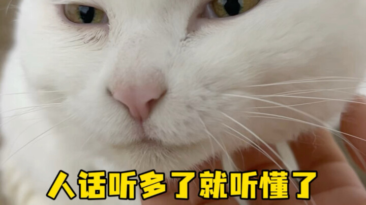 Nghe tiếng người nhiều rồi thì sẽ hiểu thôi