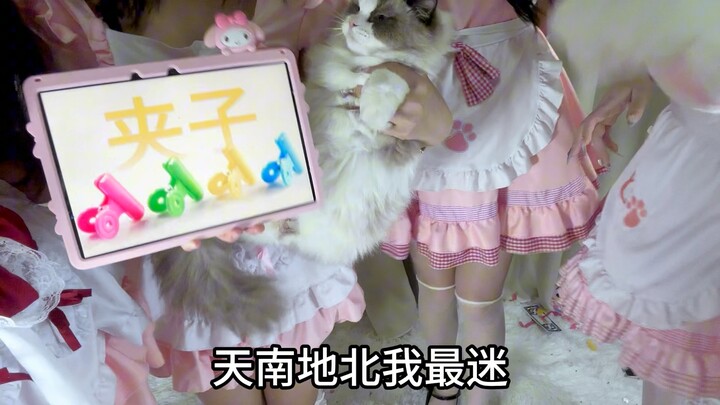 【猫咪日记本举牌】我 举 我 自 己