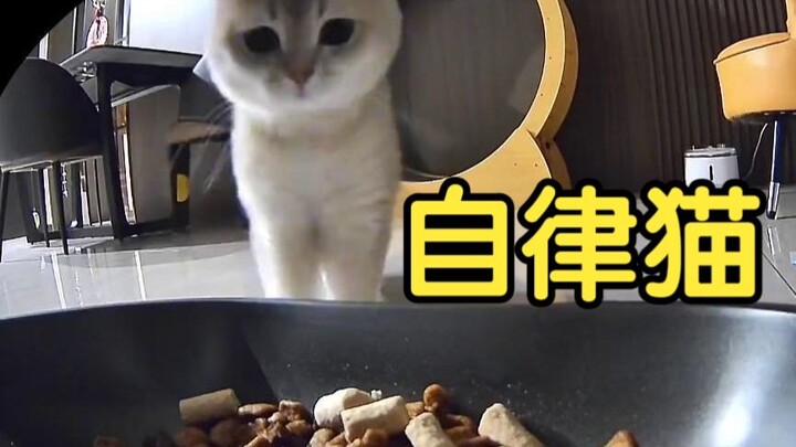 Đang thèm ăn bỗng nhớ ra mình đang giảm cân