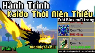 Bloxfruits - Hidding trở thành Kaido THỜI NIÊN THIẾU - Phần 5. #hidding #bloxfruits #bloxfruit